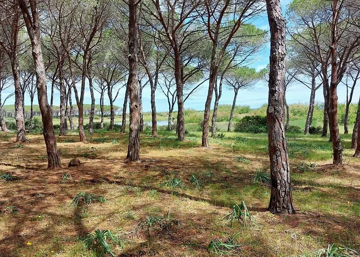 Residenze Pedrame Casa vacanze *